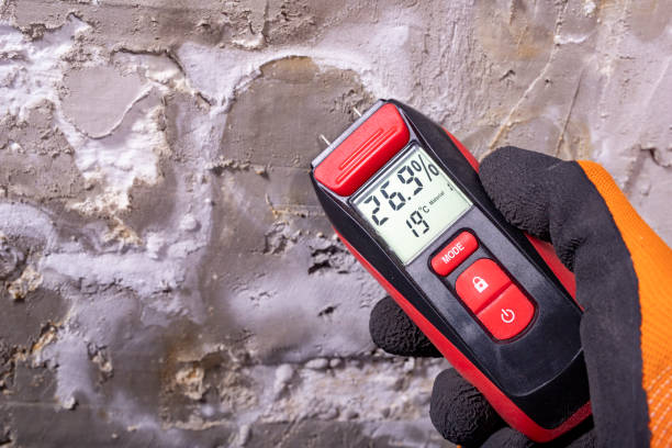Home Mold Removal in Sugar Creek, MO